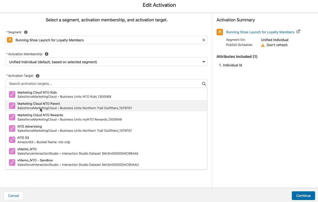 Salesforce CDP activation targets