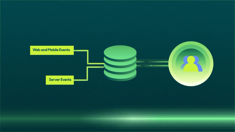 What Is a Customer Data Platform (CDP)?.