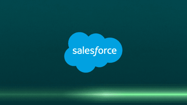 How to Enrich Salesforce Data in 6 Steps.